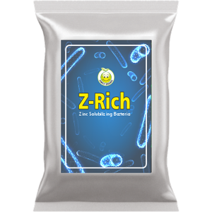 z-rich